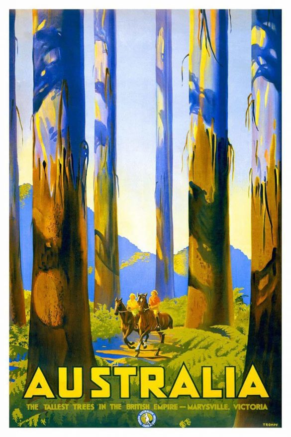 Australian Travel Poster The Tallest Trees in the British Empire 1930