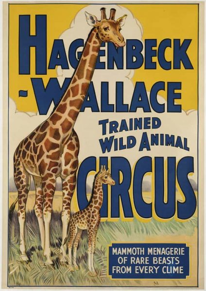hagenbeck-wallace-trained-wild-animal-circus-hires-