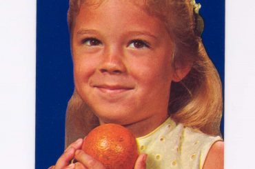 Dolly Brand Citrus Fruit Antique Label