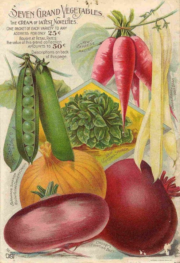 Seven Grand Vegetables Vintage Ephemera Art