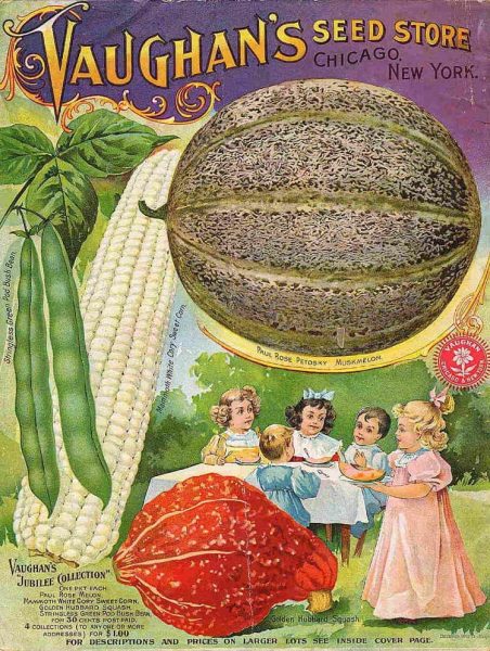 Vaughans Seed Store Flowers Seed Packet Vintage Advertisement Poster
