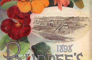 1898 Burpee's and Company Vintage Seed Catalog