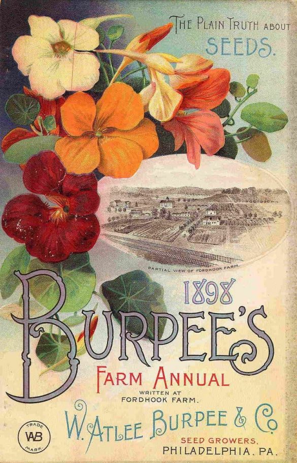 1898 Burpee's and Company Vintage Seed Catalog