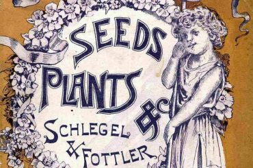 Vintage Seeds Catalog