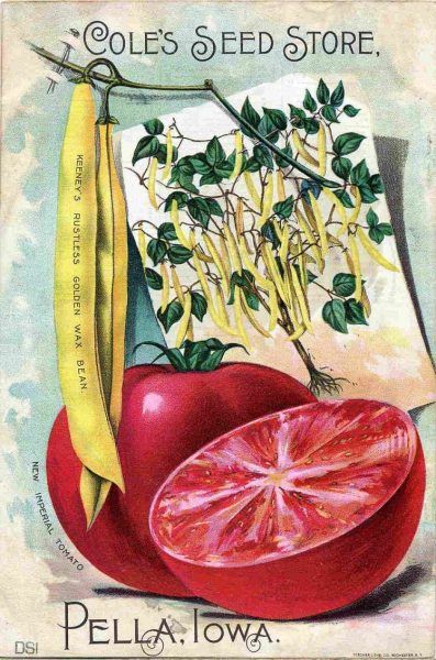 18th Century Cole's Seed Store Vintage Seed Ad Poster Design