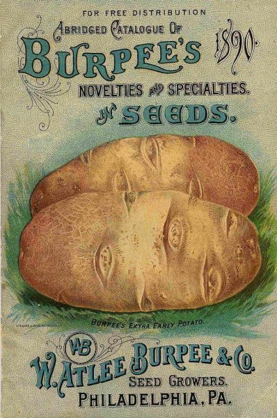 18th Century Watlee Burpee & Co. Seed Growers Old Ad Poster