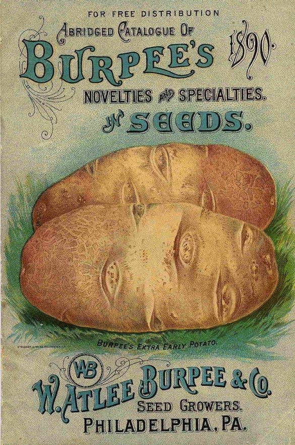 Burpee and Co Seed Growers Old Ad Poster