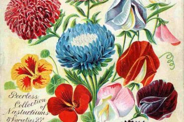 Bruce's Popular Collections, Vintage Seed Packet Art