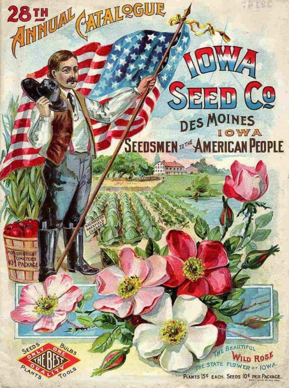 IOWA Seed Co. Des Moines Seedsmen to the American People Vintage Flower Seed Catalog