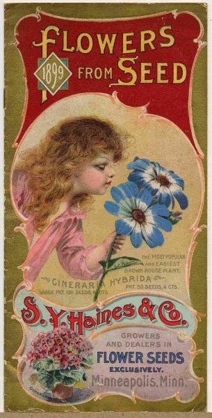 Vintage Seed Advertising Poster